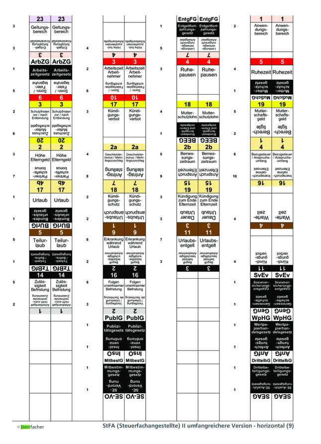 StFA (Steuerfachangestellte) II - umfangreichere Version